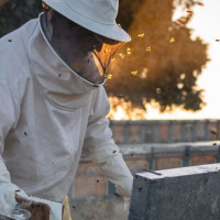 Los apicultores descontentos con la nueva normativa de la miel