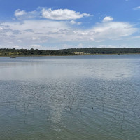 El Tajo lidera en reservas de agua a pesar de una ligera disminución