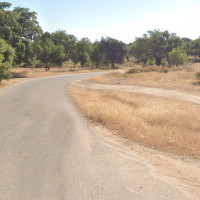 VOX Badajoz denuncia el estado de la carretera del cementerio de la Soledad