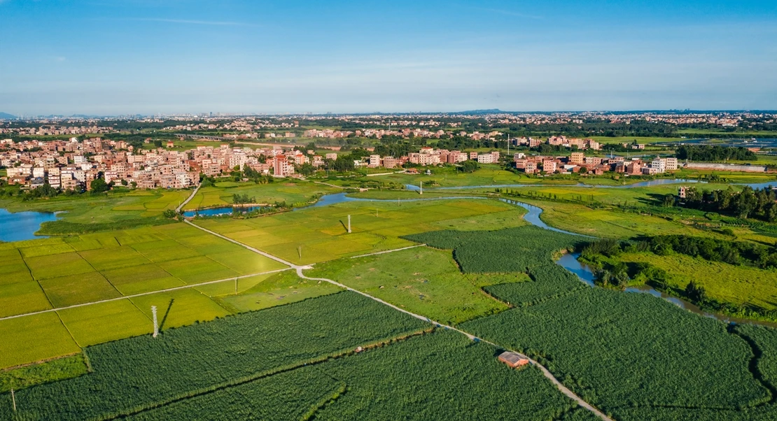 Beneficios de los Espacios Verdes Urbanos: ¿Más Que Una Bonita Vista?