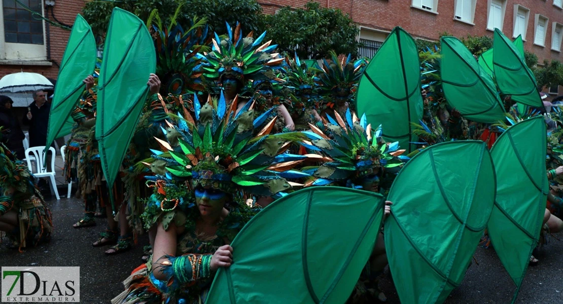 Los mejores planos generales del Desfile de Carnaval de Badajoz 2025