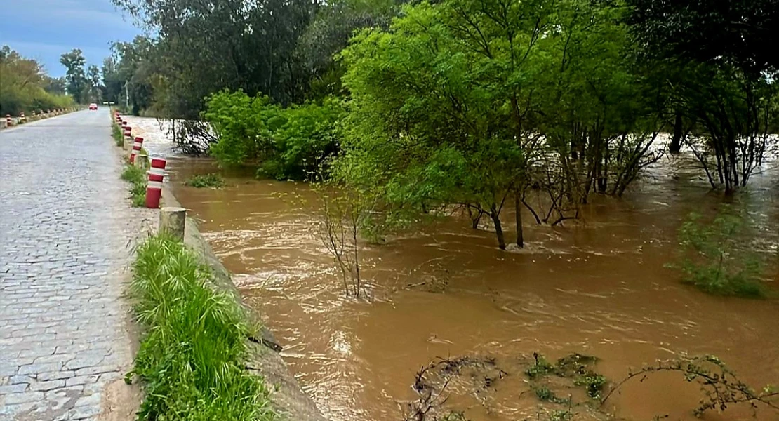 El badén de Talavera cortado al tráfico por la crecida del río